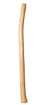 Medium Size Natural Finish Didgeridoo (TW1547)